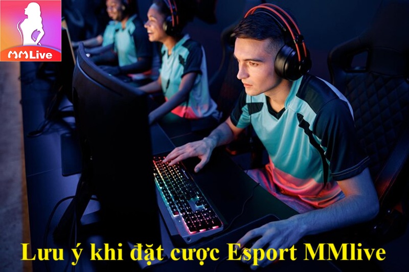 lưu ý khi đặt cược Esport MMlive
